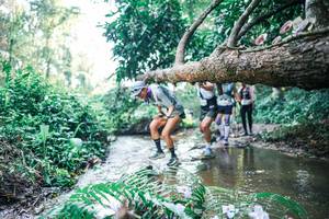 BIB: 
                            <button type="button" onclick="openModal(25445194)" class="btn btn-primary btn-sm float-right btn-popup" data-toggle="modal" data-target=".modal-high-quality">
                        <i class="fas fa-shopping-cart"></i> Add to Cart
                    </button>
                                            <button type="button" onclick="isThisMe(25445194, true)" class="btn btn-success btn-sm float-right btn-popup btn-isme hidden" data-toggle="tooltip" data-placement="bottom" title="นี่คือรูปของคุณใช่ไหม คลิกที่นี่เพื่อเอาเข้าอัลบั้ม">
                        <i class="fas fa-plus"></i> Add to album
                    </button>
                    <button type="button" onclick="isThisMe(25445194, false)" class="btn btn-warning btn-sm float-right btn-popup btn-isnotme hidden">
                        <i class="fas fa-ban"></i> Remove from album
                    </button>